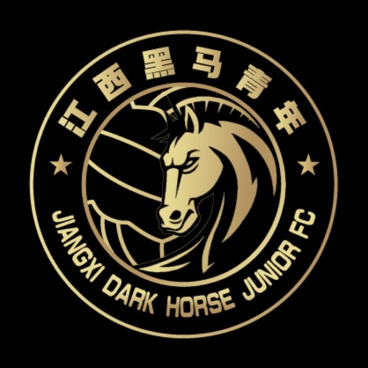  官方：江西黑馬青年完成異地遷移程序，更名為溫州職業(yè)足球俱樂(lè)部